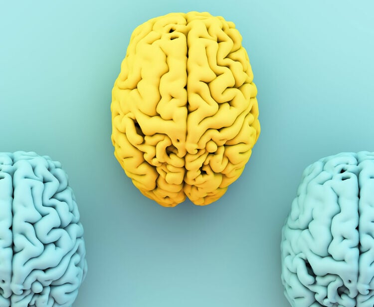 Neurocognição