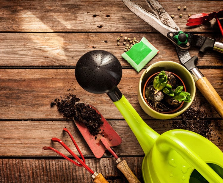 Como Planear um Jardim