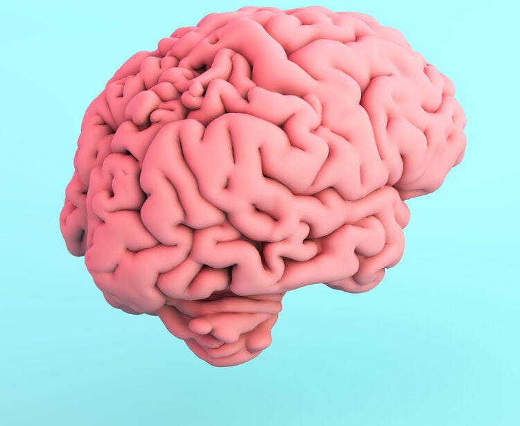 Princípios Fundamentais de Neuromarketing