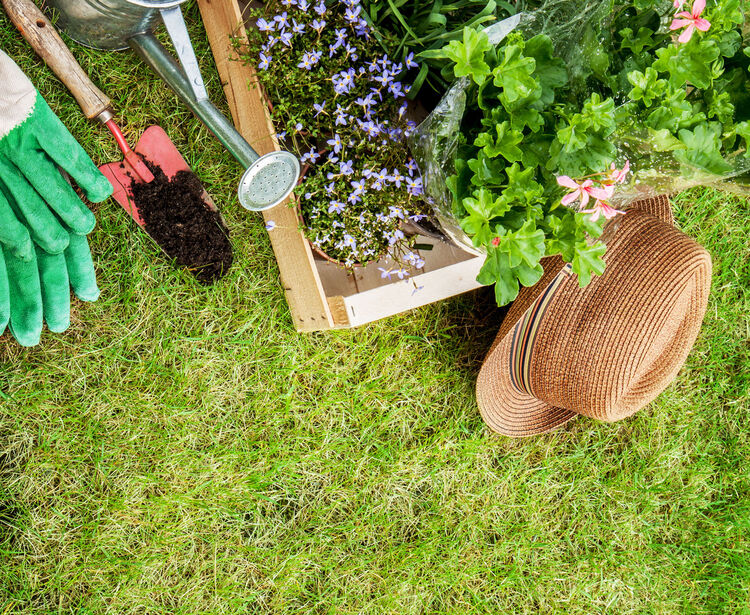 Prática Terapêutica da Floricultura e Jardinagem