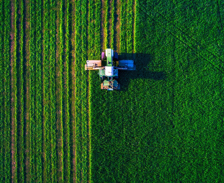 Gestão Agrícola